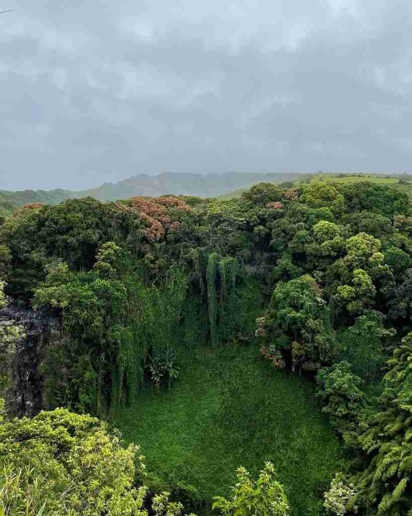 organizzare un viaggio alle Hawaii