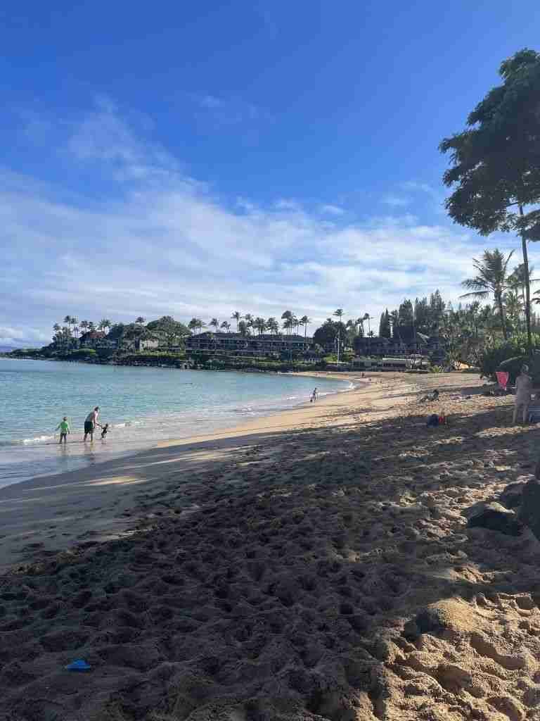 napili beach, hawaii