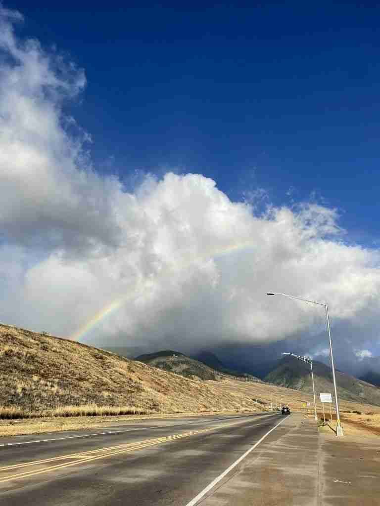 organizzare un viaggio alle Hawaii 