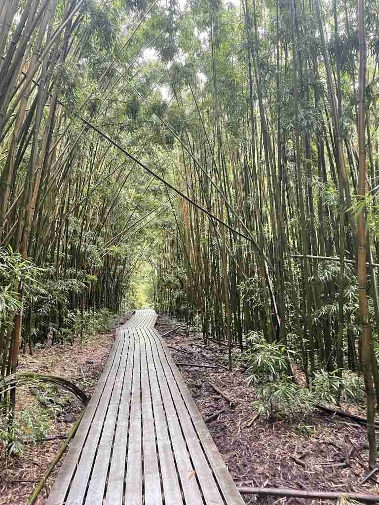 quando andare alle hawaii