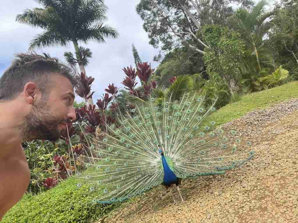 Eden Garden, Maui