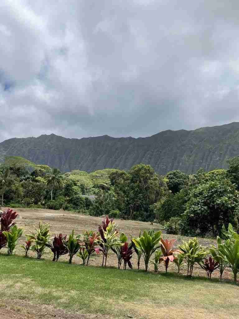 quando andare alle hawaii