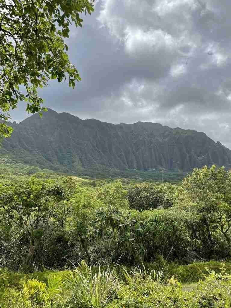 organizzare un viaggio alle Hawaii 