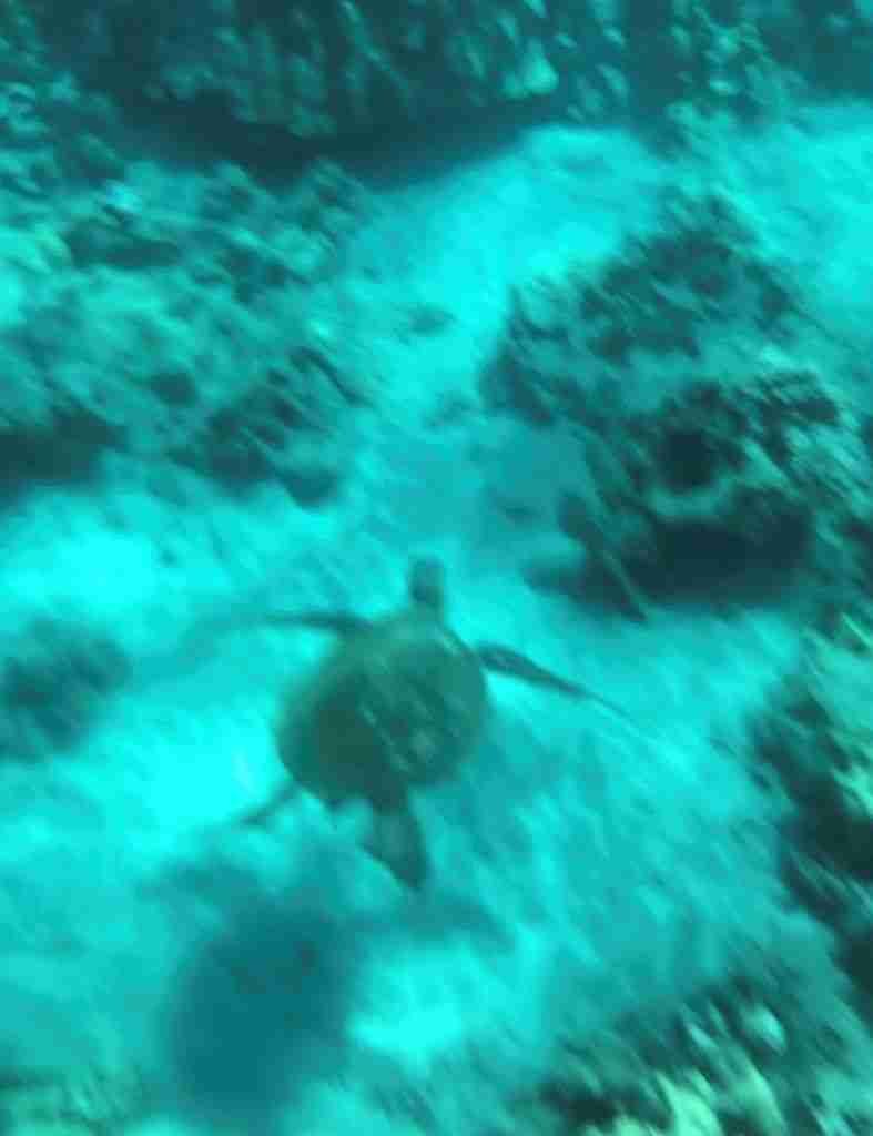 guida all'isola di maui