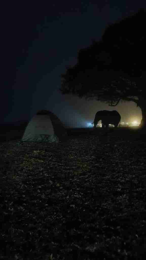safari in tanzania