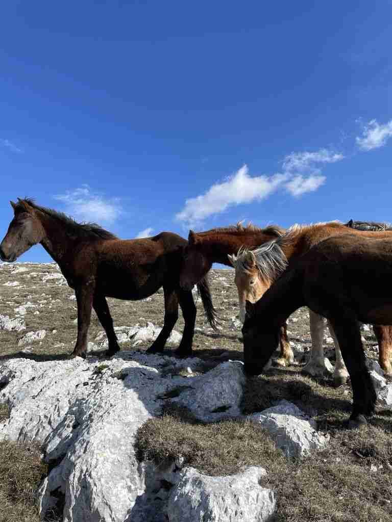 Cosa vedere in Bosnia
