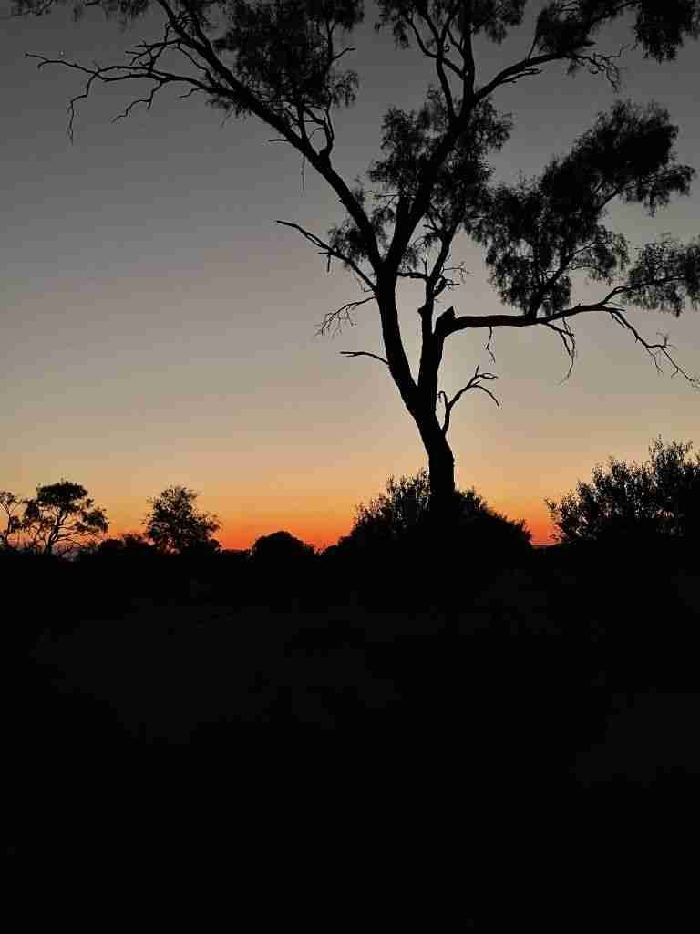 Viaggio nell'Outback