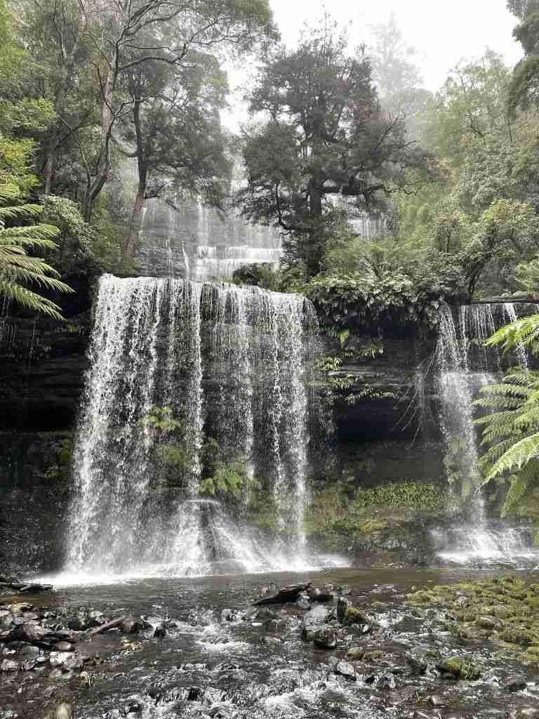 Mount Field National Park, Tasmania