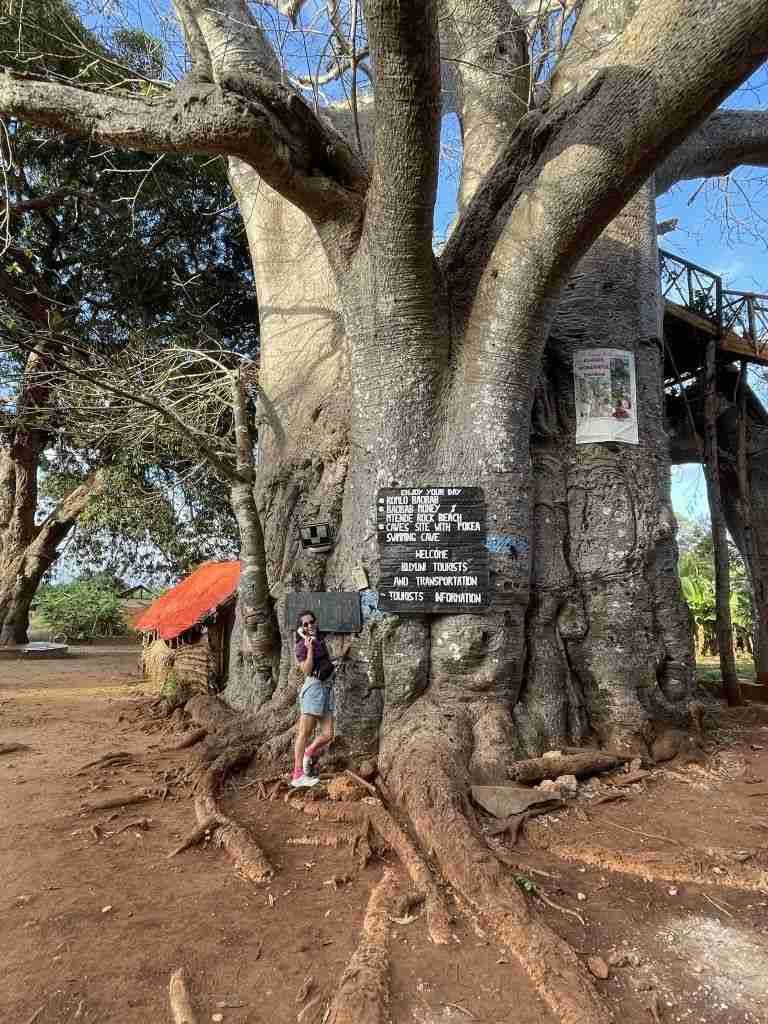 Che fare a Zanzibar
