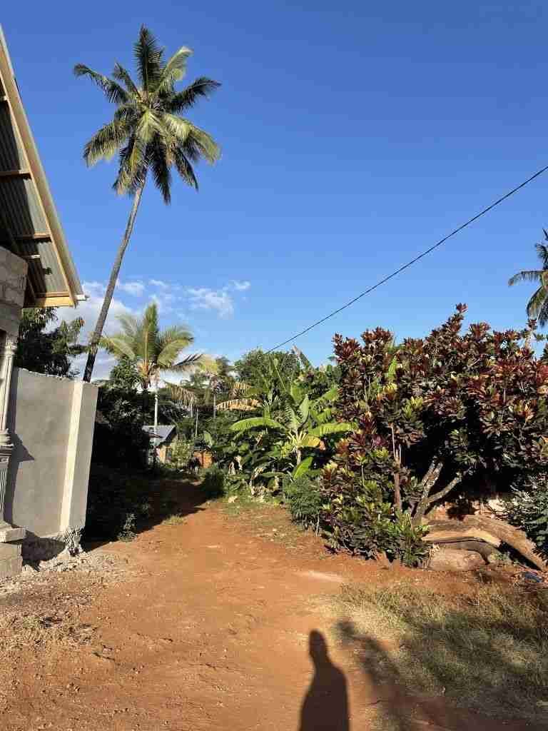 Che fare a Zanzibar