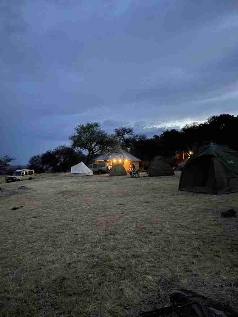 safari in tanzania