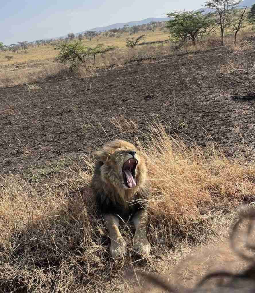 Itinerari in Africa