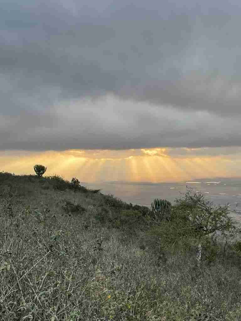 safari in tanzania