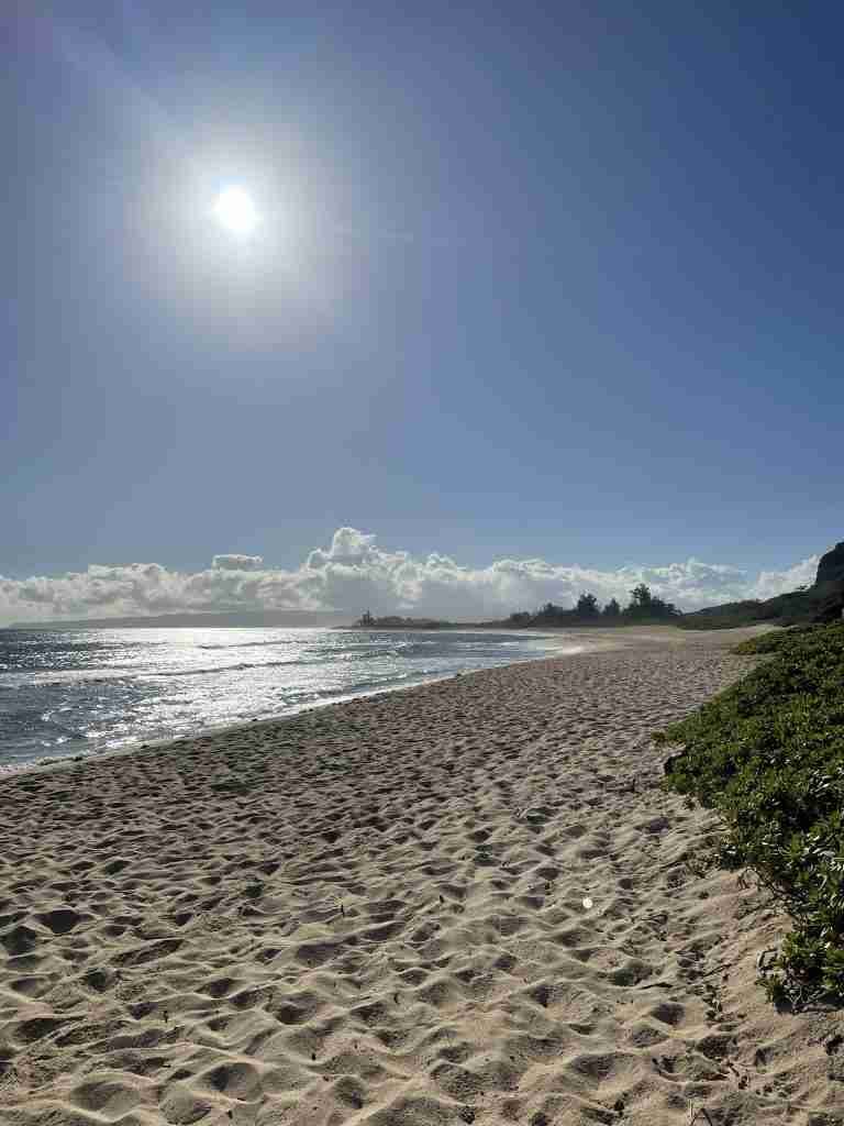 Mokule’ia Beach