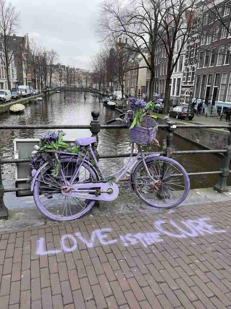 che fare ad amsterdam