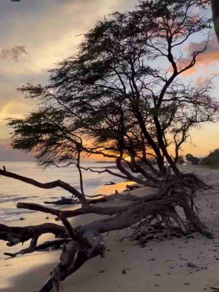 Hawaii, Viaggio a Maui