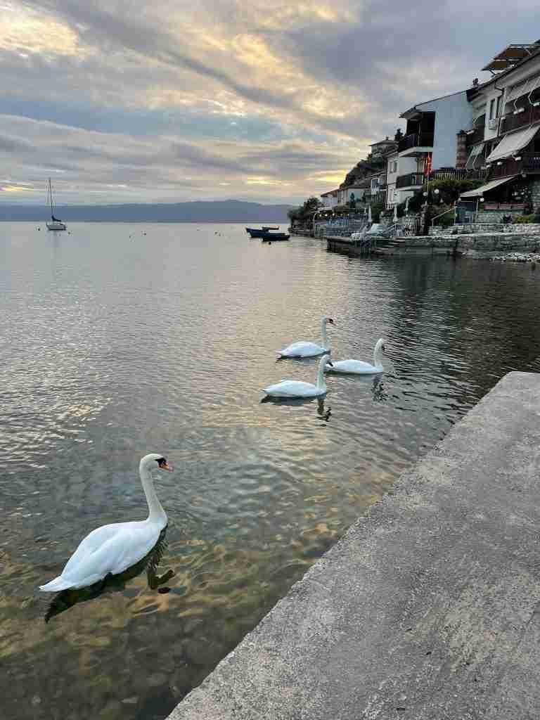 Lago di Ohrid