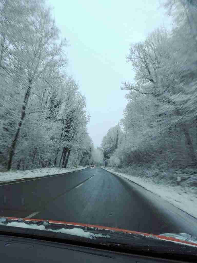 Foresta Lussemburghese