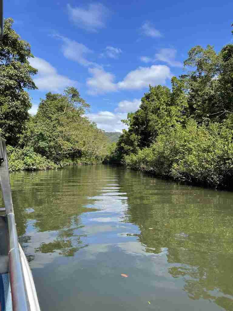 Daintree River