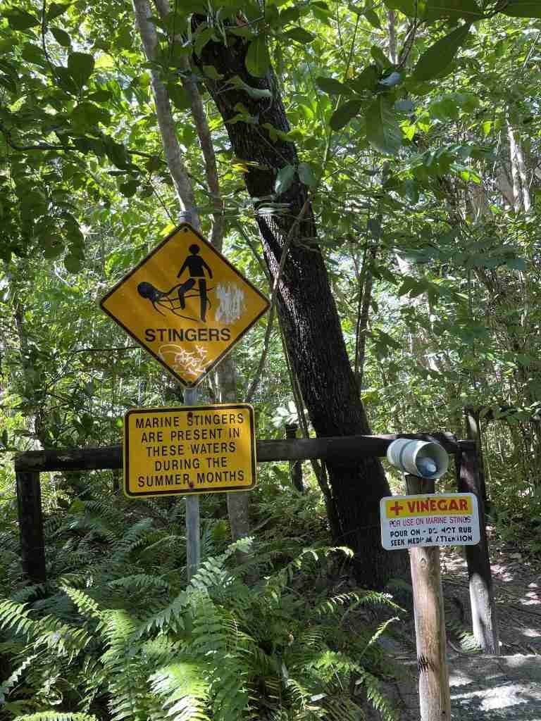 viaggio nel Queensland