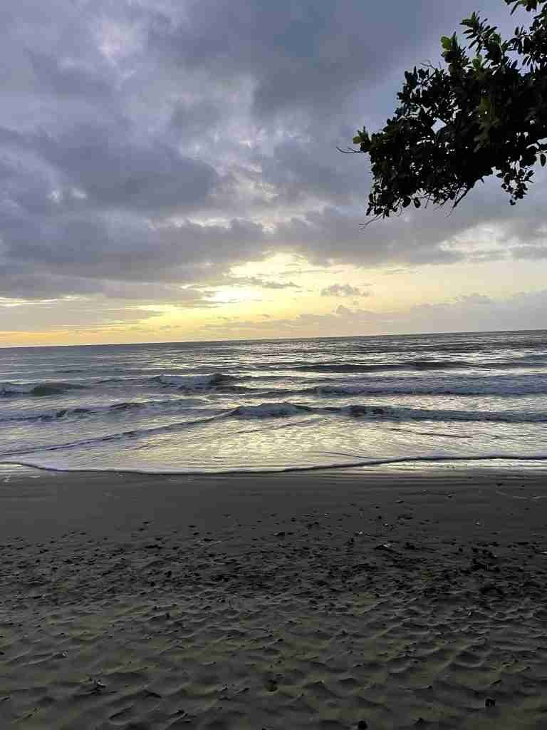 Alba nel Queensland