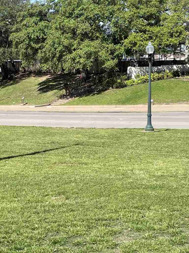 Chi ha ucciso Kennedy?