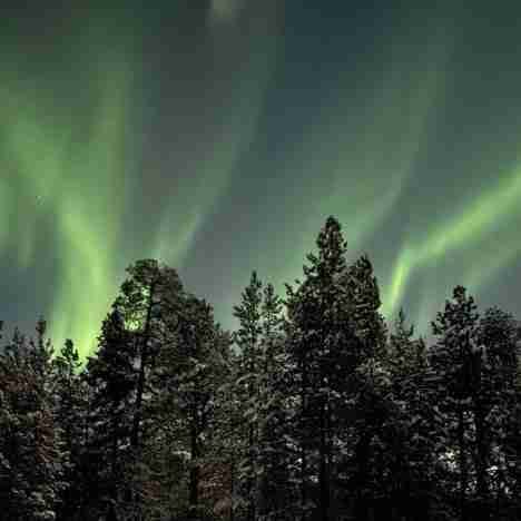Come organizzare un viaggio in Lapponia