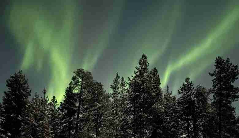 Come vedere l'Aurora Boreale in Lapponia