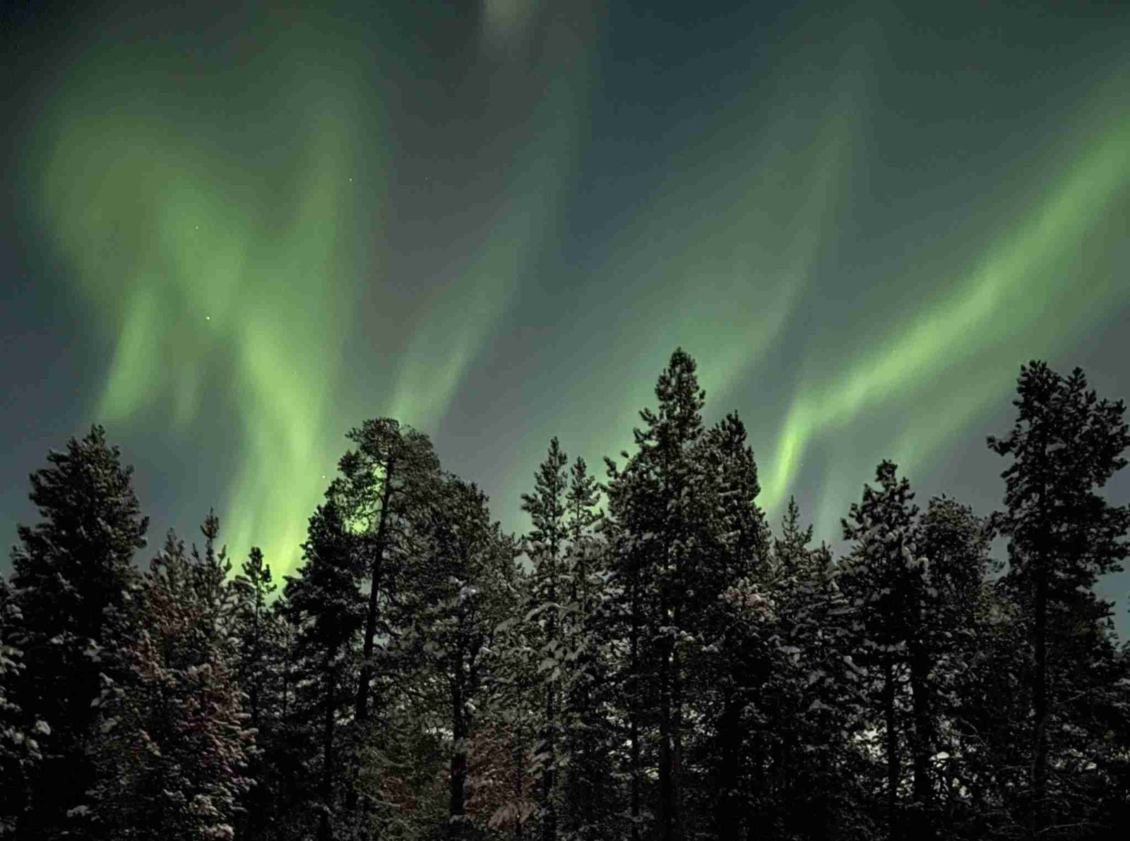 Come vedere l’Aurora Boreale in Lapponia
