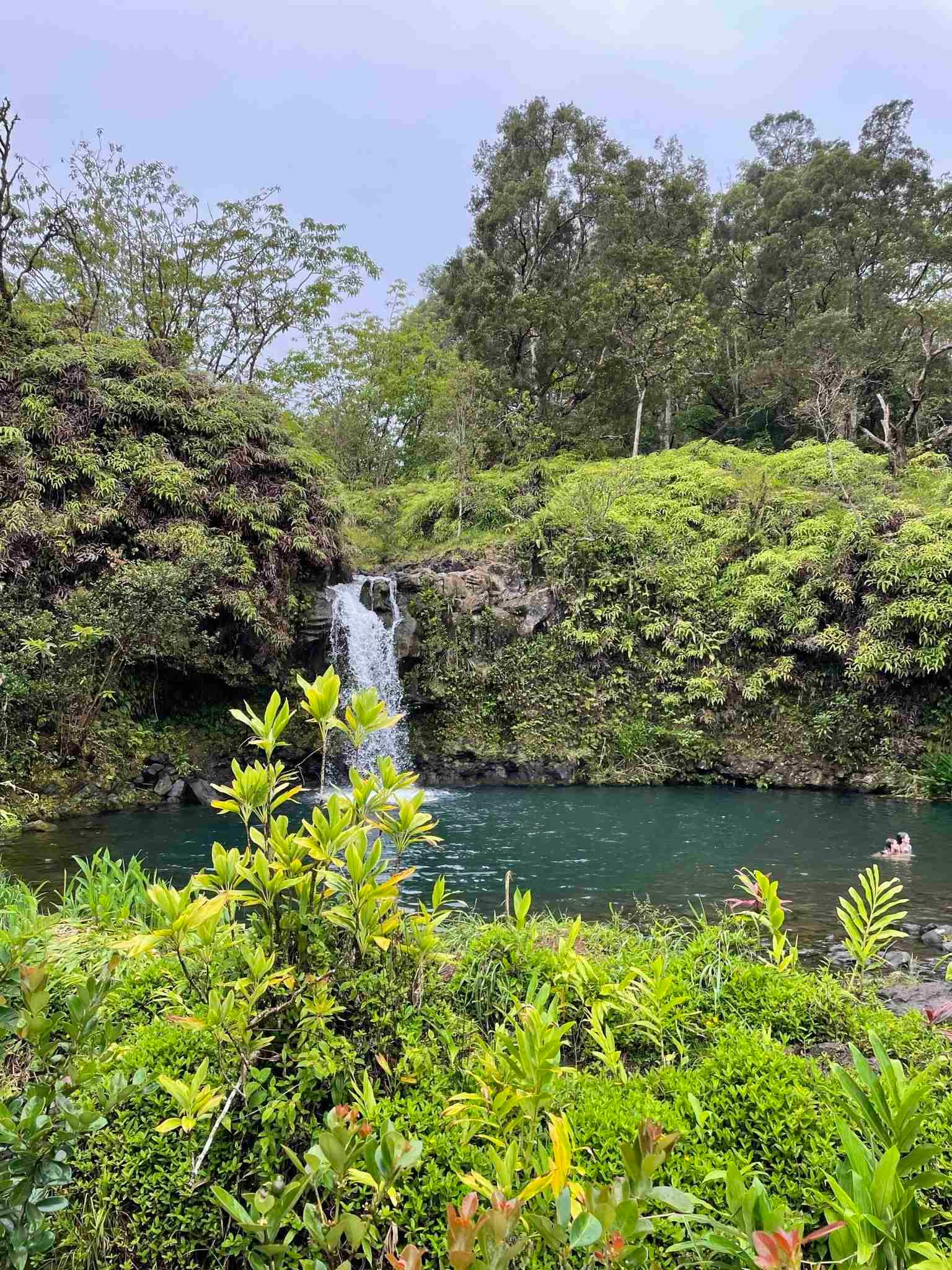 Come organizzare un viaggio alle Hawaii