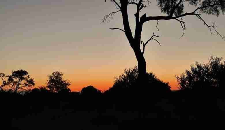 Che fare nell'Outback Australiano 7 Viaggio nell'Outback