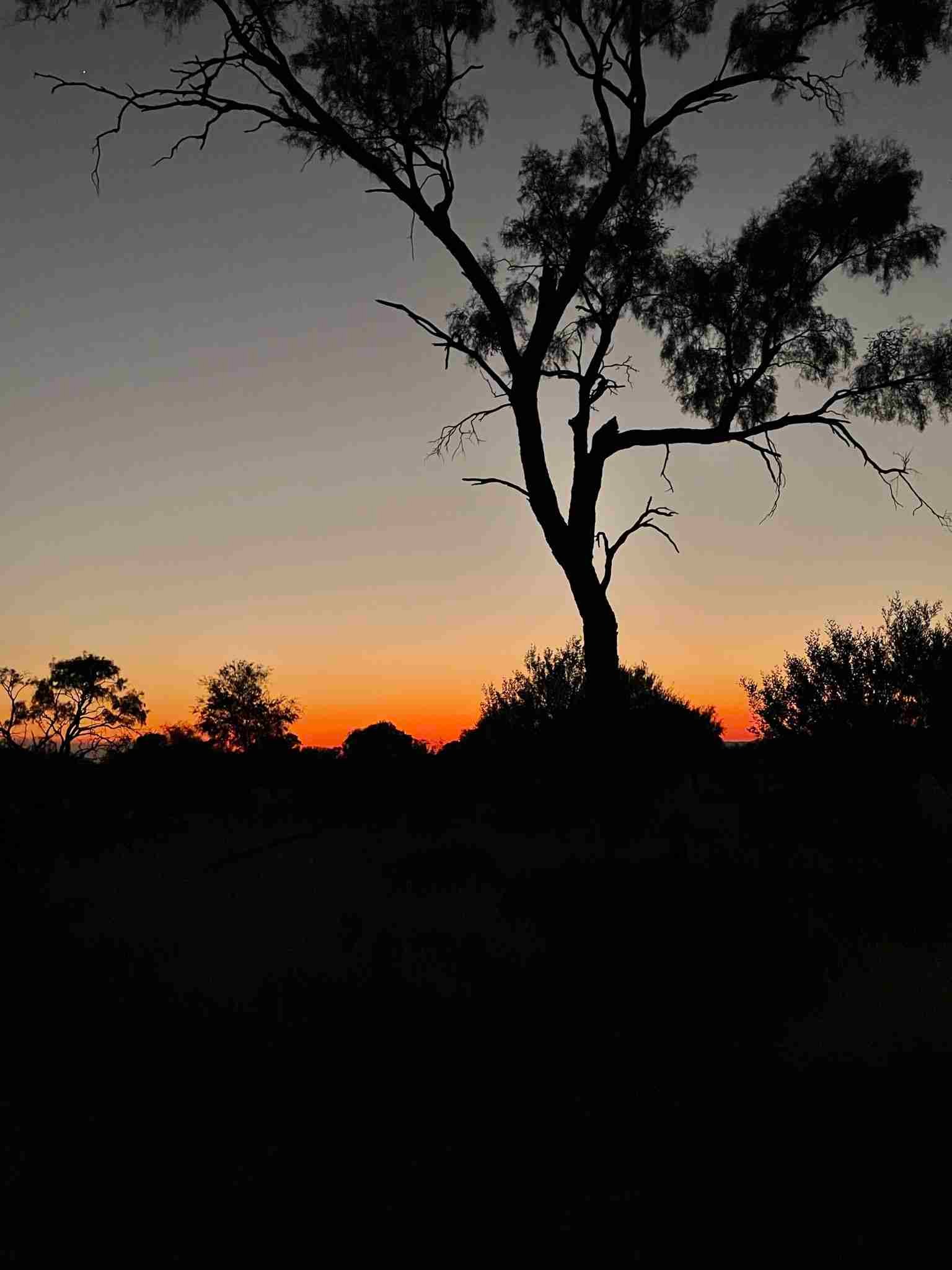 Viaggio nell'Outback