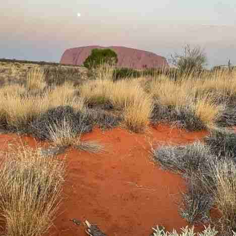 Che fare nell’Outback Australiano
