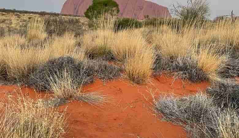Viaggio nell'Outback, il deserto australiano 8 Uluru, Australia