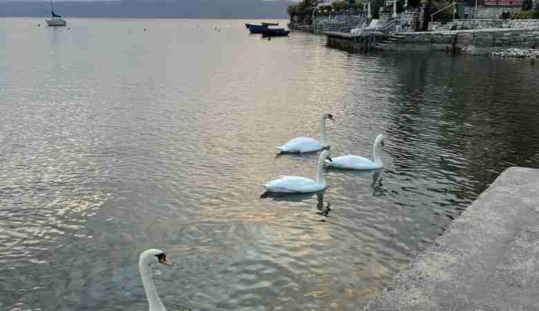 Lago di Ohrid