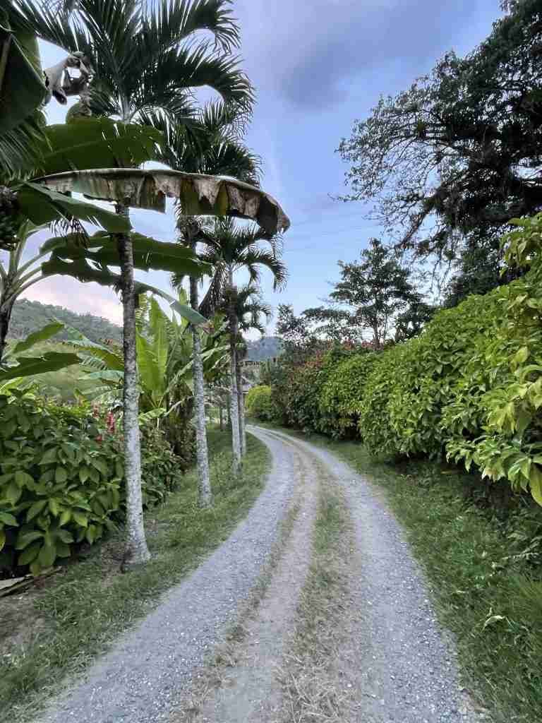 colombia